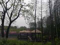 -圩墩遗址公园