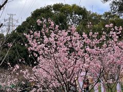 -求水山公园