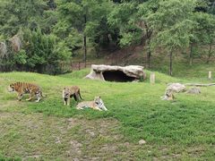 -沈阳森林动物园