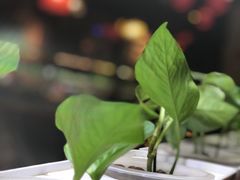 -望京一号·重庆江湖菜(工体店)