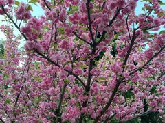 -白塘生态植物园