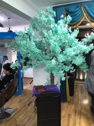 -菲凌私人定制(西安龙首村店)