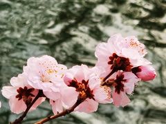 -颐和园