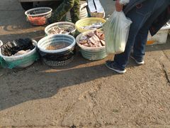 -何庄子阿米玛玛农产品批发市场