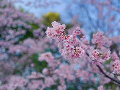 -静安雕塑公园
