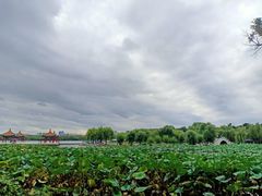 -长春市南湖公园