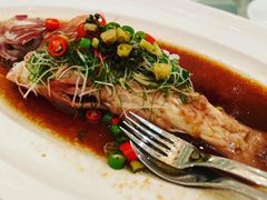 -伯衡55·吉品轩(乌鲁木齐南路店)