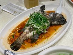 -大东海海鲜酒楼(渔人码头总店)