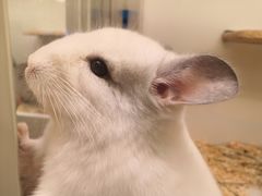 -龙猫仔乐园(惠福东路店)