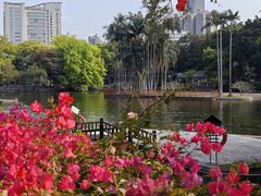 -荔湾湖公园