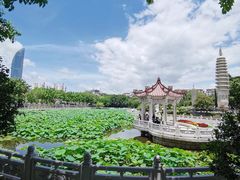 -南普陀寺