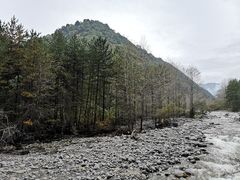 -黑河国家森林公园