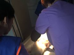 -伟伟宠物医院·CT影像中心·瑞派犬猫综合性门诊(汉口总院)