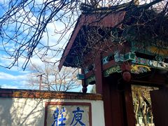 -庾园