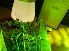 -阿卡贝拉音乐汇(印象城店)