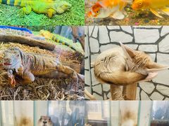 -海合安武汉极地海洋公园