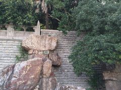 -虞山城墙