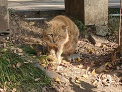 -狼山风景名胜区
