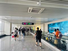 -石家庄正定国际机场-T2航站楼