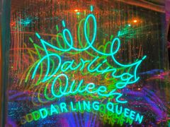 -Darling Queen·Mini·Live·House