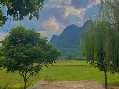 -村上春树