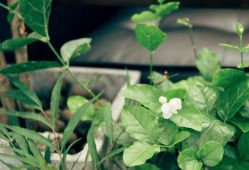 点击看大图 大厅-AFA Hair studio·女士发型设计