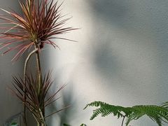 -漫笙舍Manse·咖啡·民宿