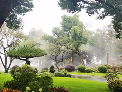 -杭州西湖柳莺里酒店·闻莺厅