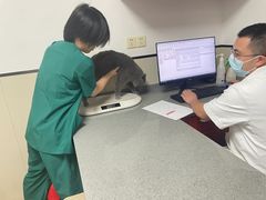 -爱侣宠医·鹦鹉专科·小型哺乳类·异宠专科(灵石路店)