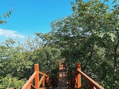 -大岭沟猕猴桃谷风景区