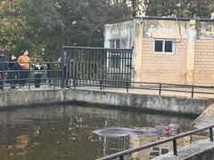 -合肥野生动物园