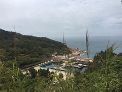 -广东惠东海龟国家级自然保护区