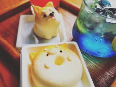 -柴犬高等学院·狗咖·柴犬售卖·宠物训练