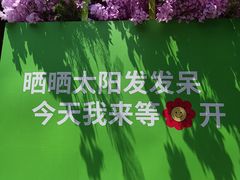 -日本风情街