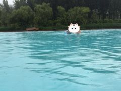 -清河半岛温泉度假酒店