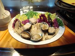 -农轩·醉黄冈