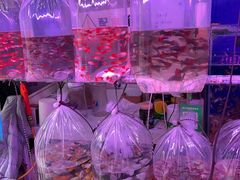 -华声天桥民俗文化园