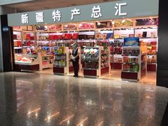 -乌鲁木齐天山国际机场-T3航站楼