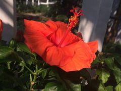 -杭州植物园