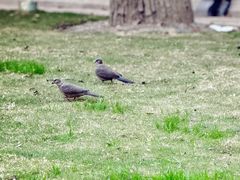 -共青国家森林公园-售票处