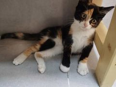 -中田健身工作室(嘉定江桥店)