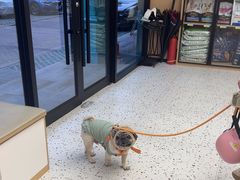 -瑞派康怡24h宠物医院·犬猫医疗中心·微创绝育(瑞景分院)