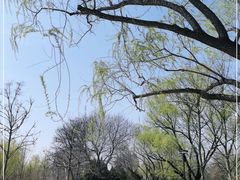 -莲花池公园