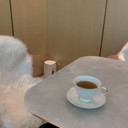 -香港倾城国际·美容美体中心