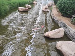 -九天休闲谷