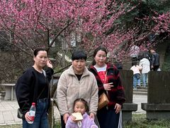 -瑞安圣井山景区