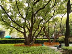 -徐家汇源景区-衡山公园