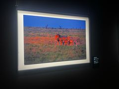 -罗红摄影艺术馆