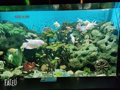 -锦艺城海洋馆