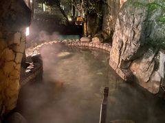 -明月山天沐温泉度假村